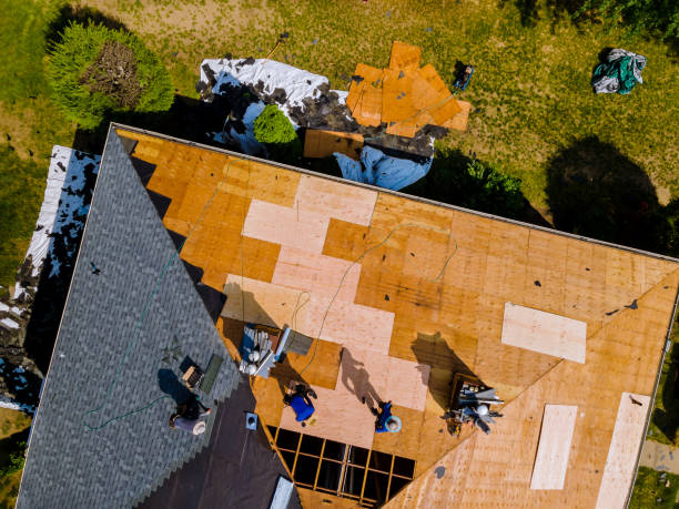 Roof Gutter Cleaning in Enigma, GA