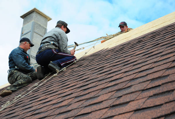 Best Gutter Installation and Roofing  in Enigma, GA